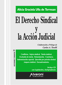 El Derecho Sindical Y La Acción Judicial